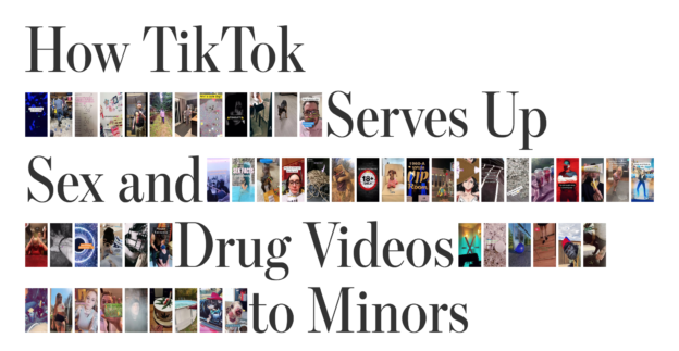 TikTok is NOT All Dance Moves and Cute Pets.